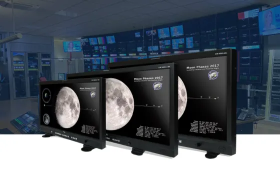 Reference Video Monitors